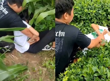 Gerombolan Teman Sekelas Memperkosa Siswi
